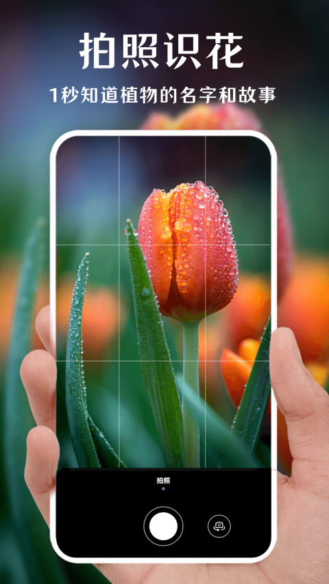 拍照识花v3.6.0截图5