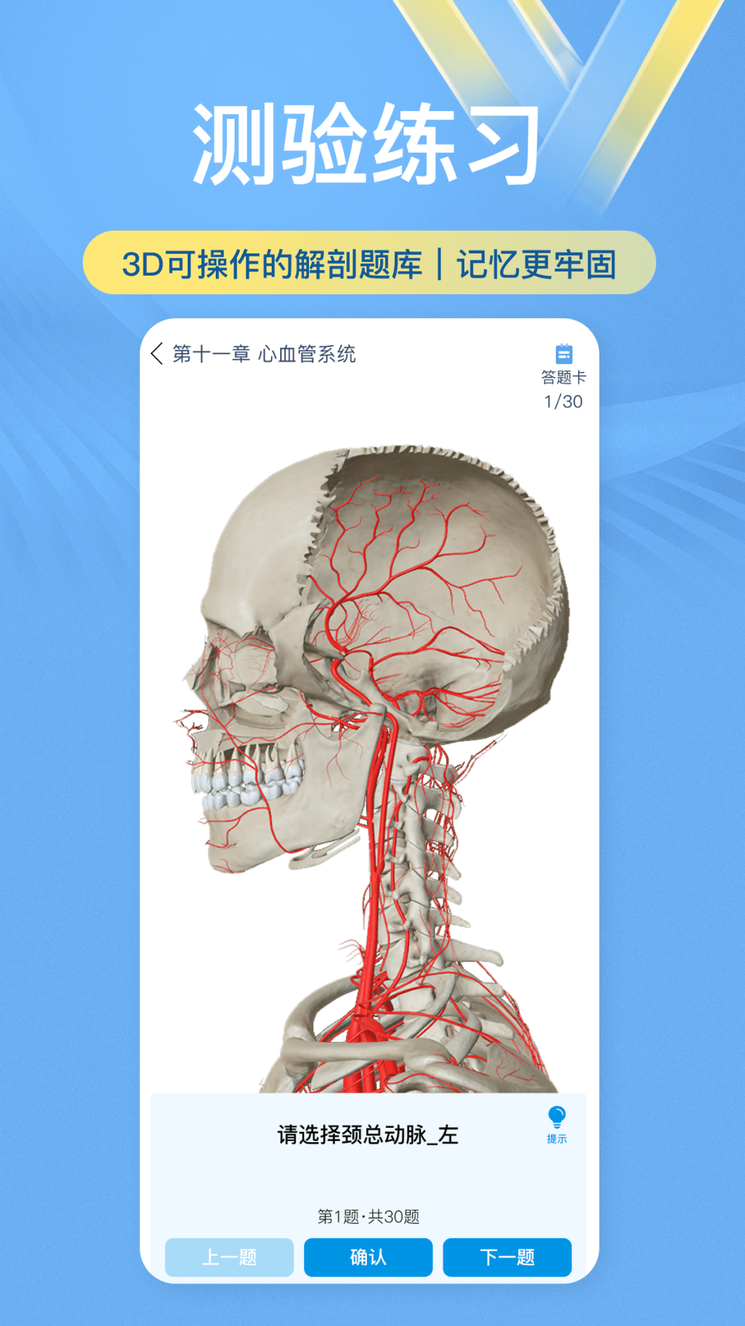 维萨里3D解剖v6.1.0截图2