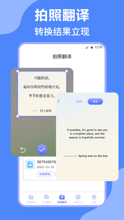 DeepL翻译v3.6.7截图2