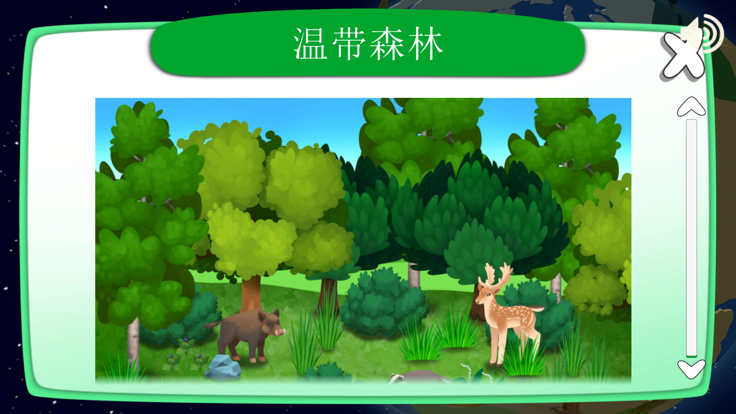 Forest Kids截图3