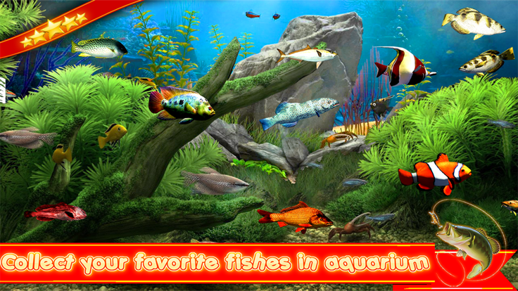 Hook Hunter Fishing Games 3D截图2