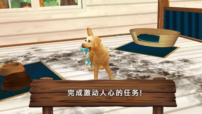 Pet Hotel Premium截图4