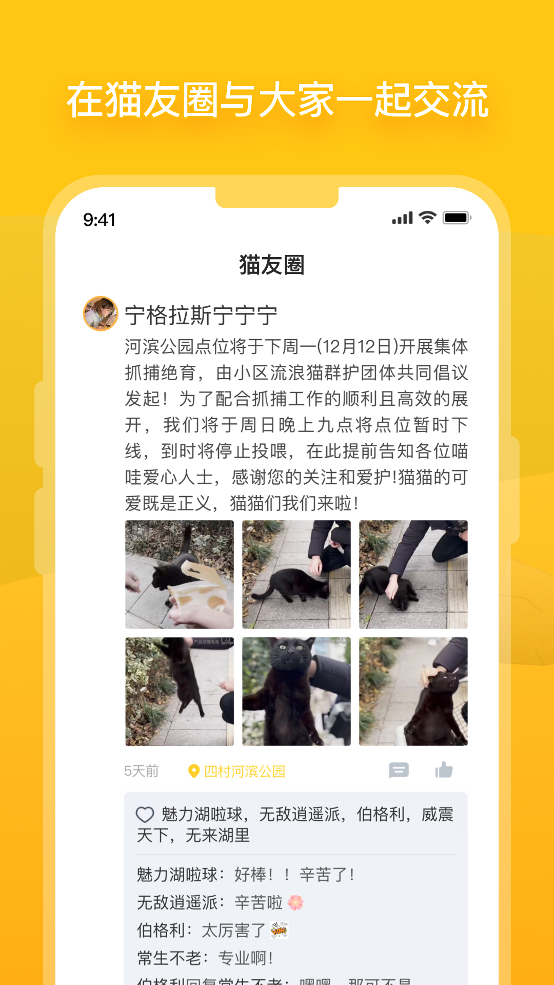 街猫v1.17.0截图4