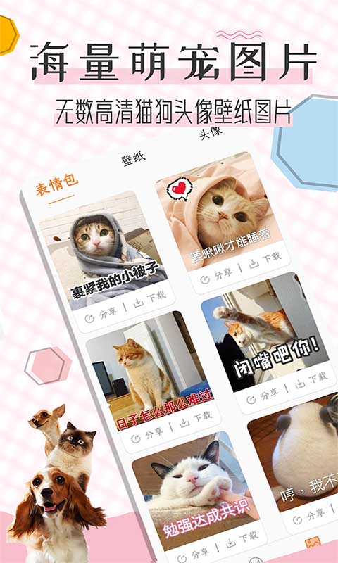 猫语翻译宝截图3