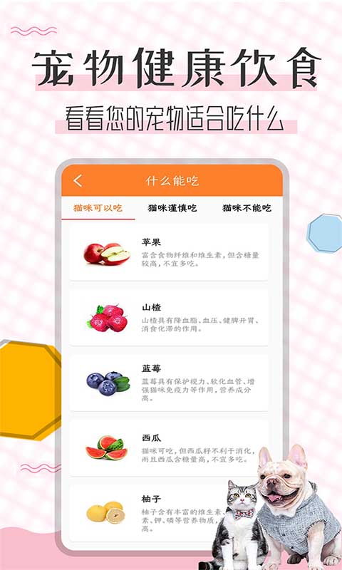 猫语翻译宝v1.2.4截图1