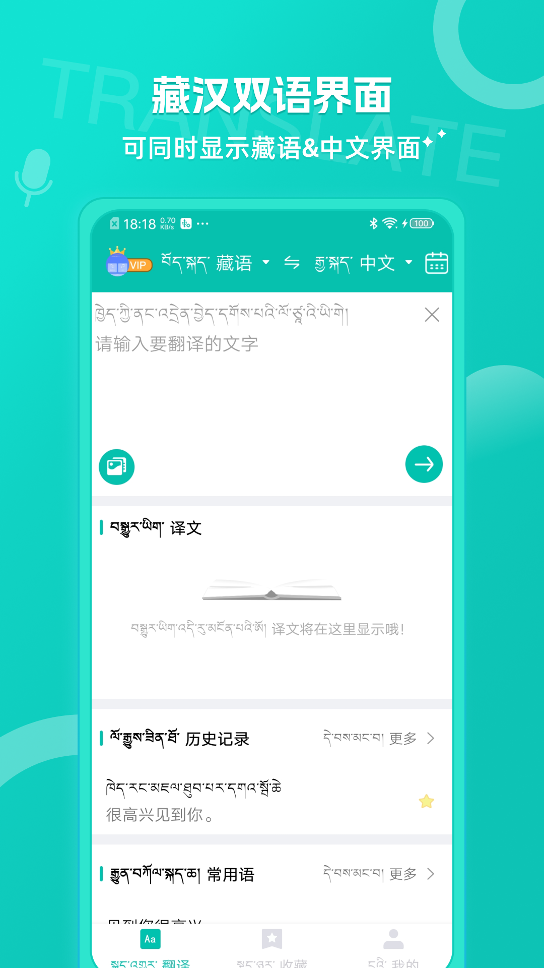 藏英翻译v6.2.1截图3