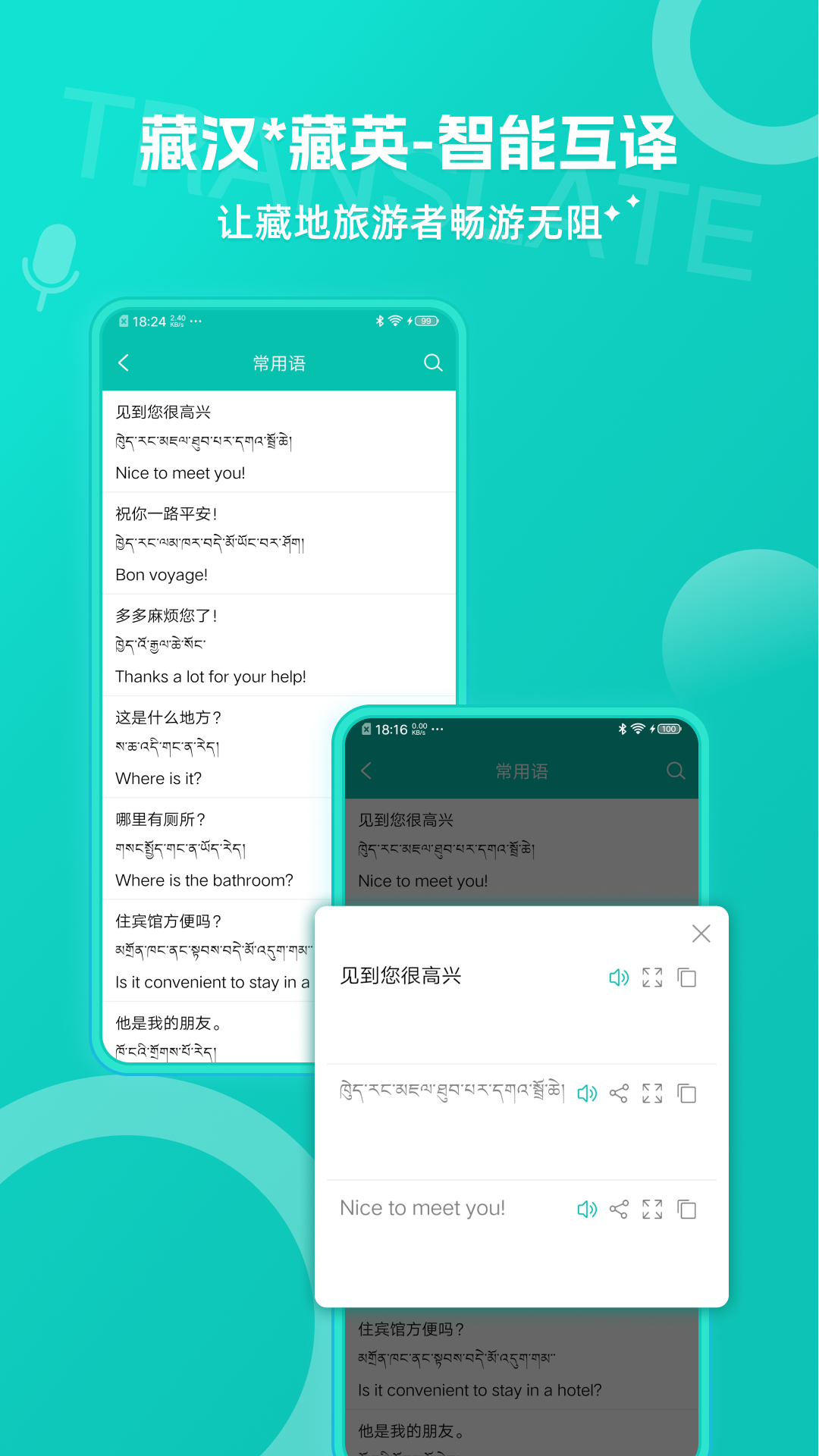 藏英翻译v6.2.1截图5