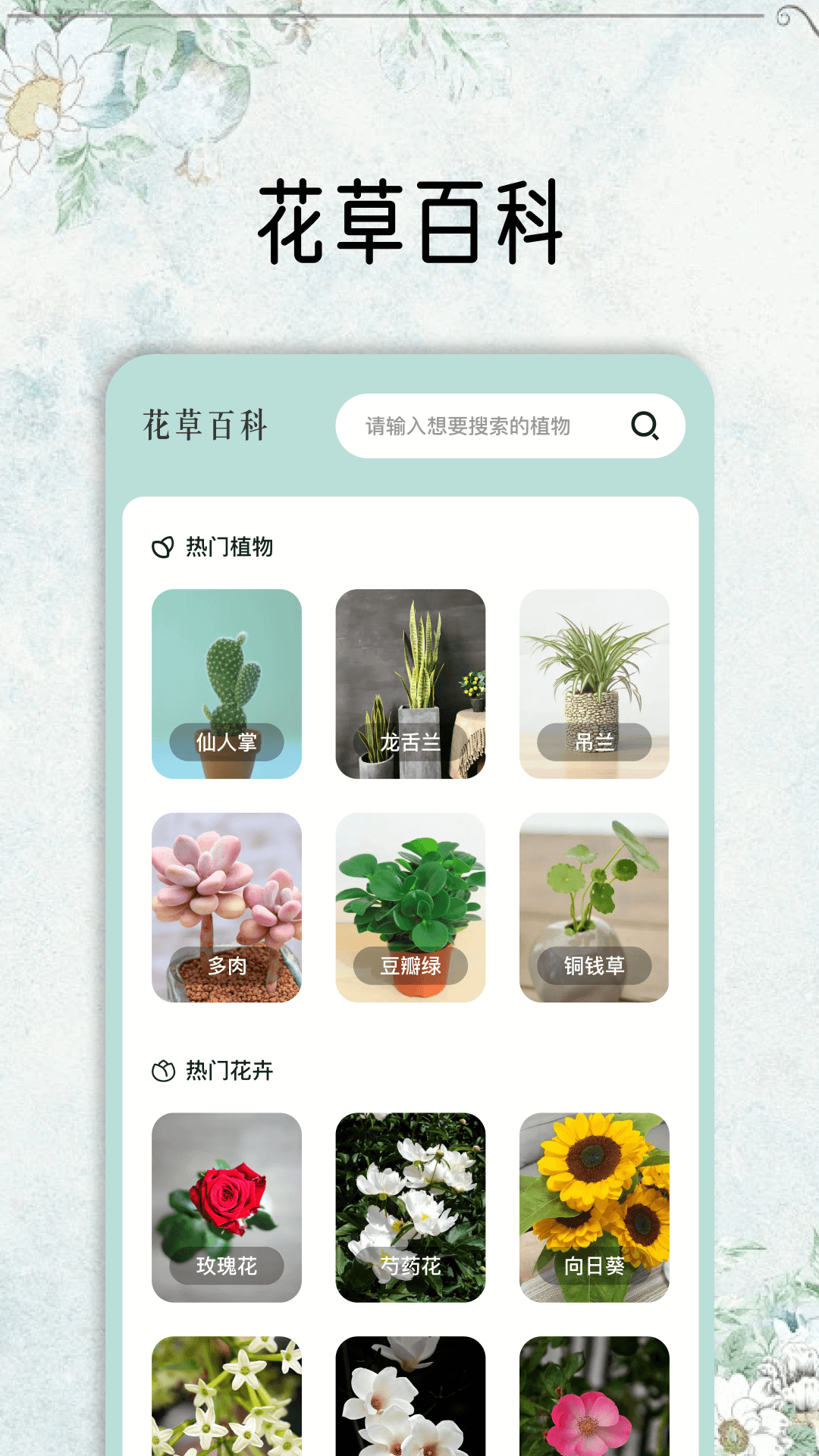 花草妙识v1.1截图3