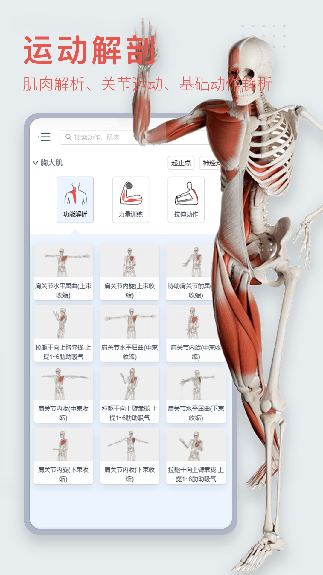 3DBody解剖v8.8.10截图4