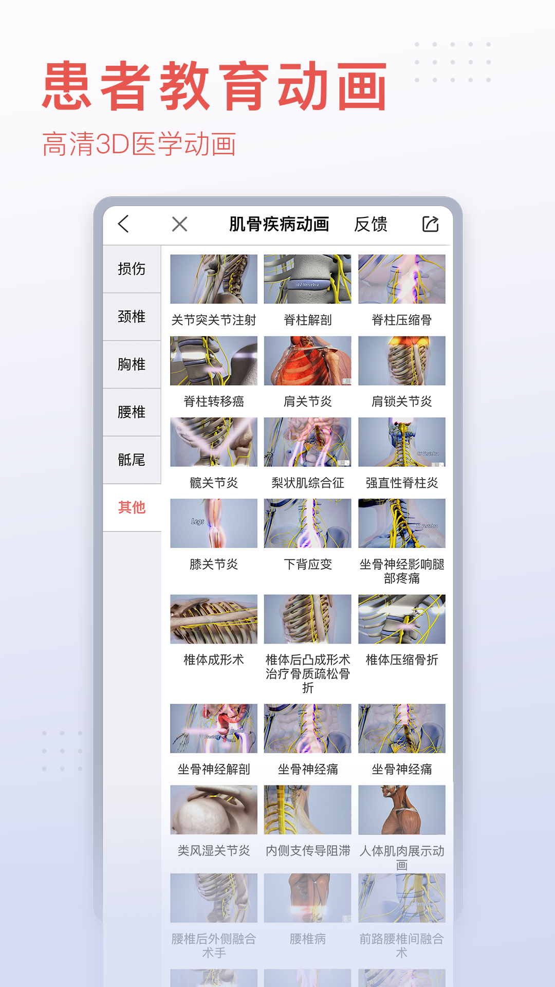 3DBody解剖v8.8.10截图3