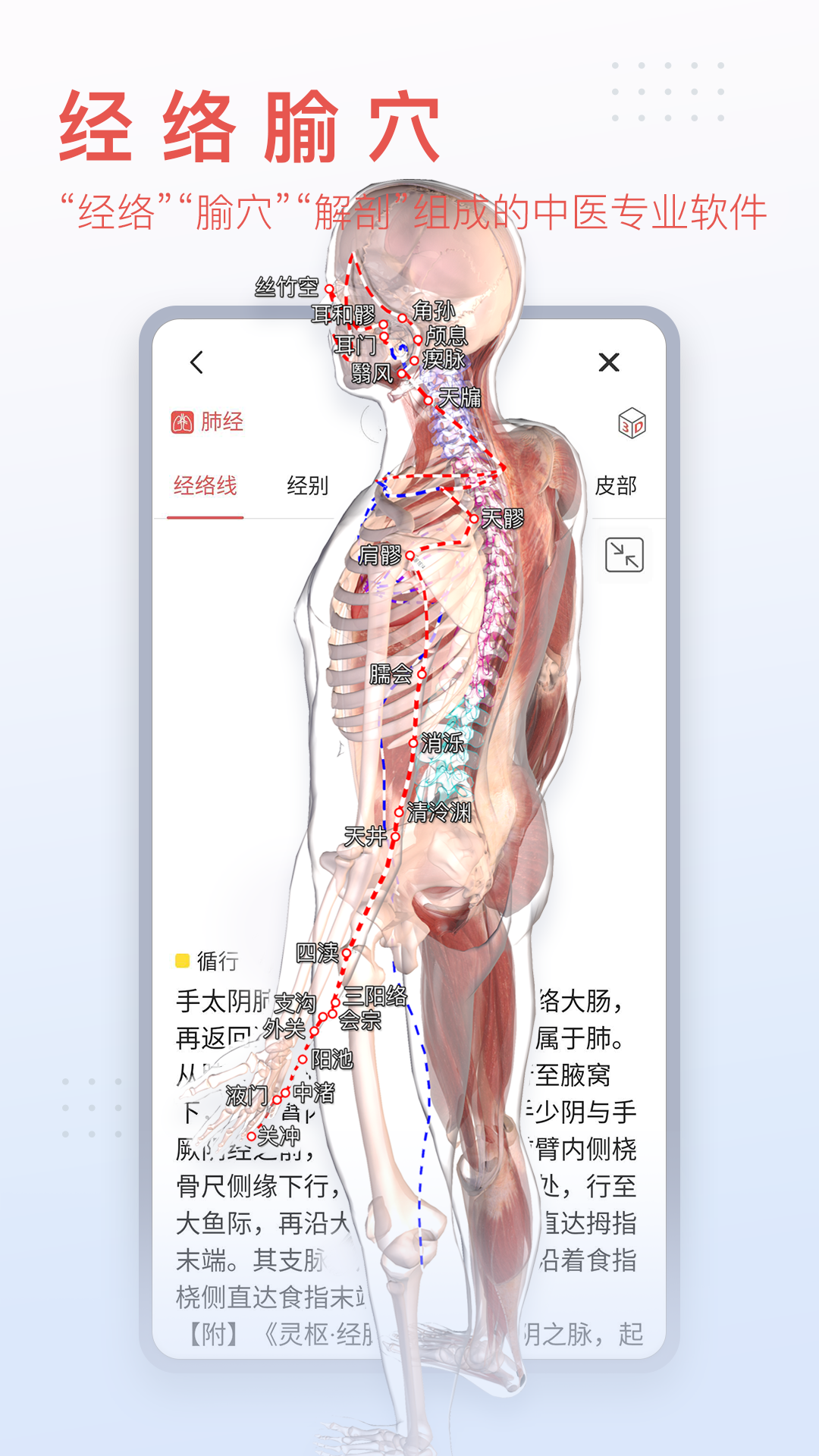 3DBody解剖v8.8.10截图2