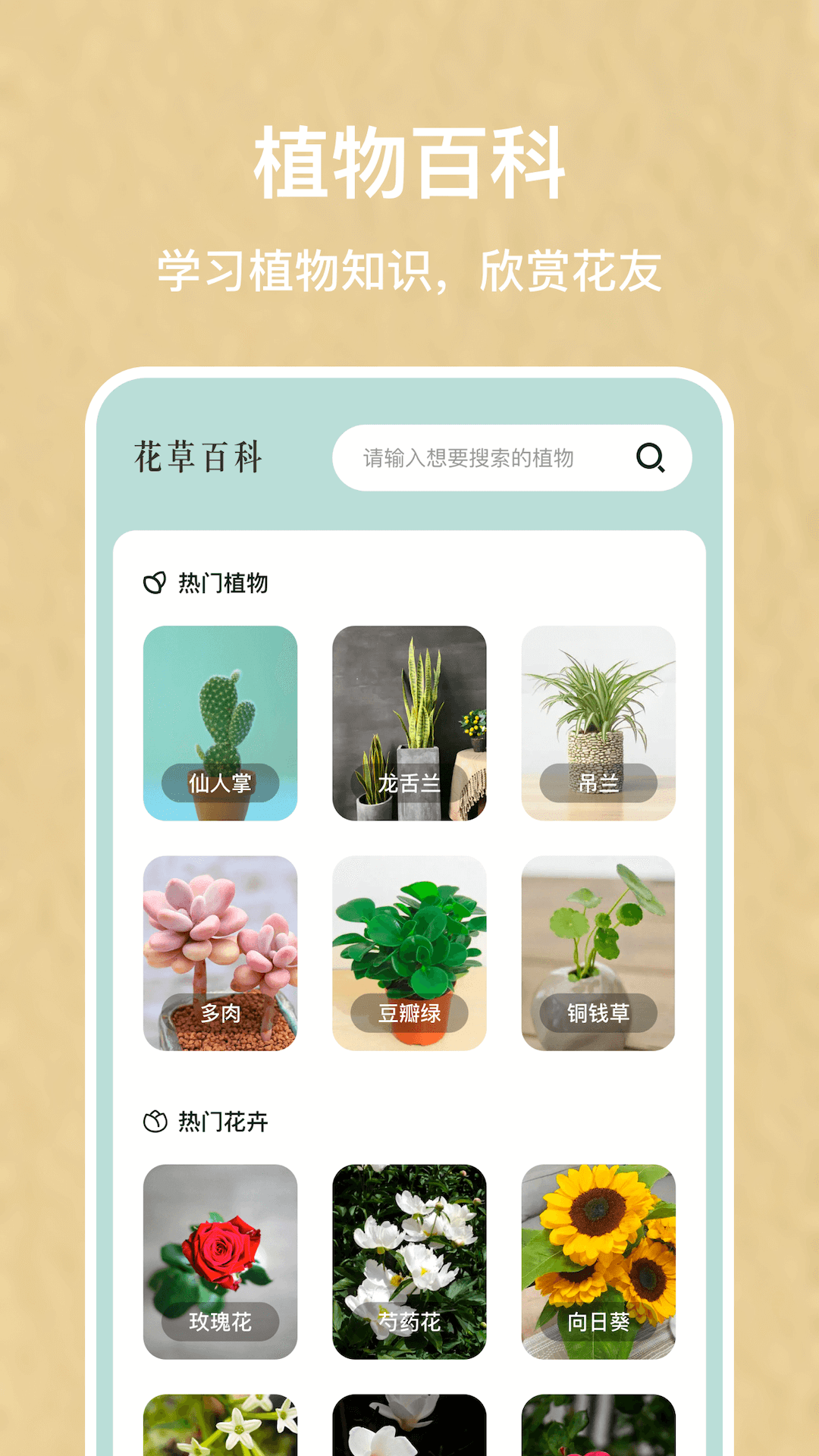 识别植物v1.16截图1