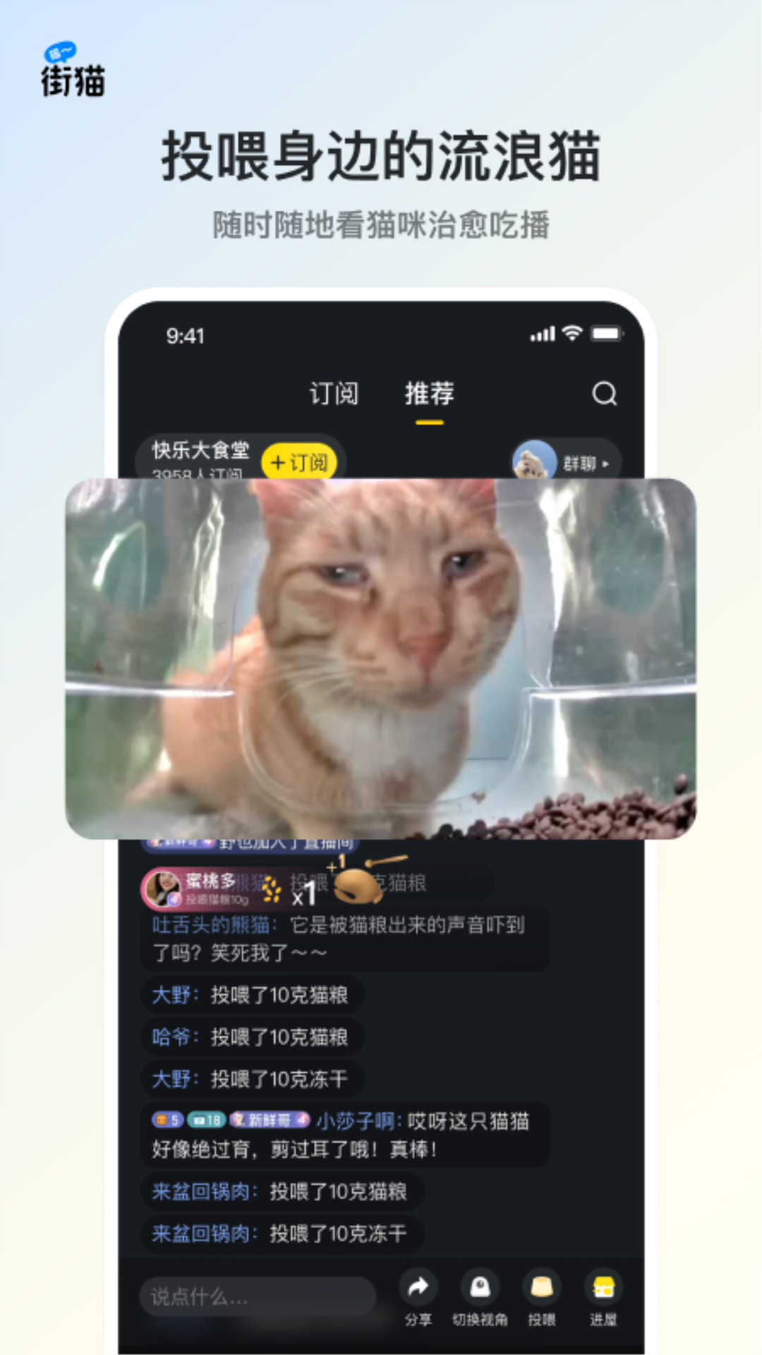 街猫v1.22.5截图5