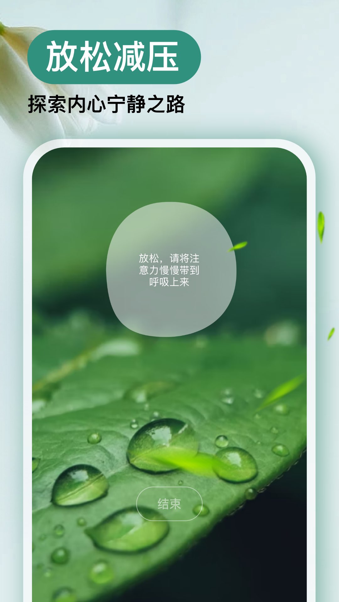 Now冥想v4.7.4截图2