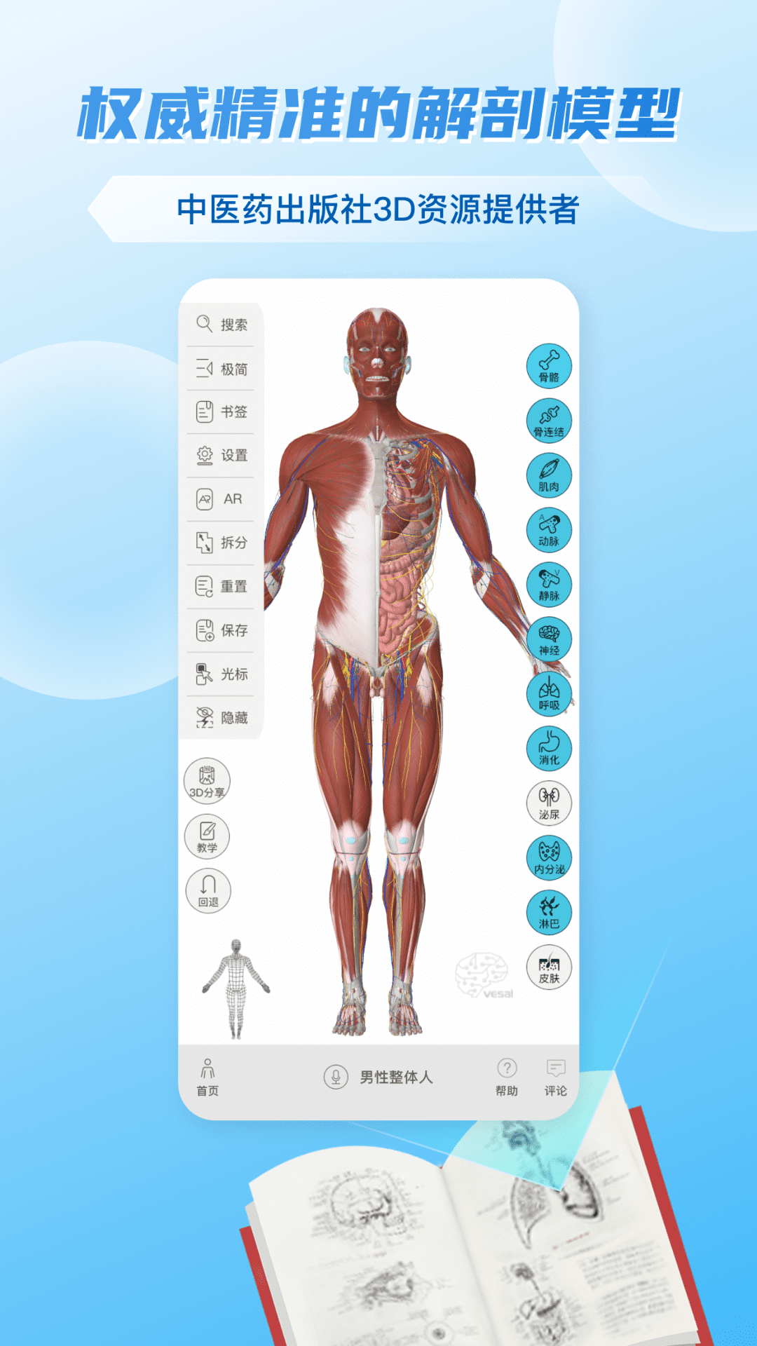 维萨里3D解剖v6.2.1截图5