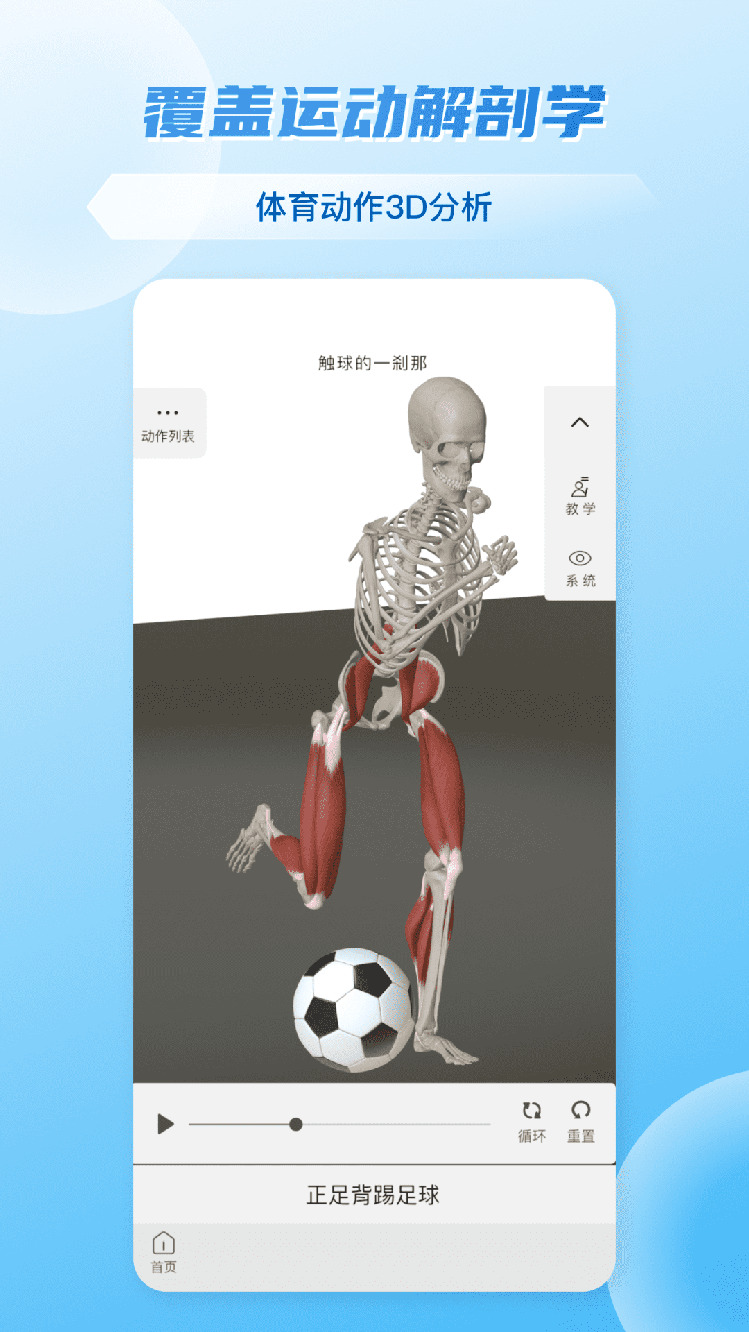 维萨里3D解剖截图4