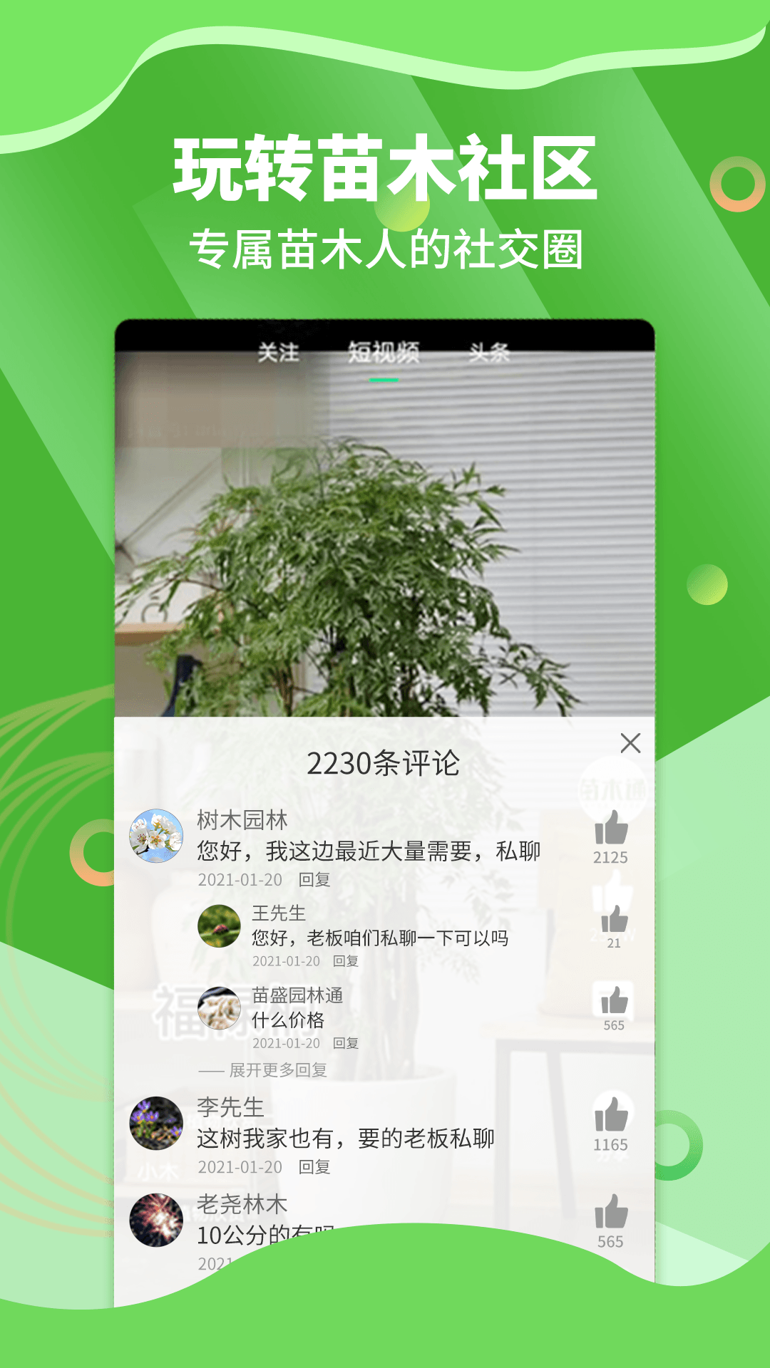 苗木通v5.12.19截图4