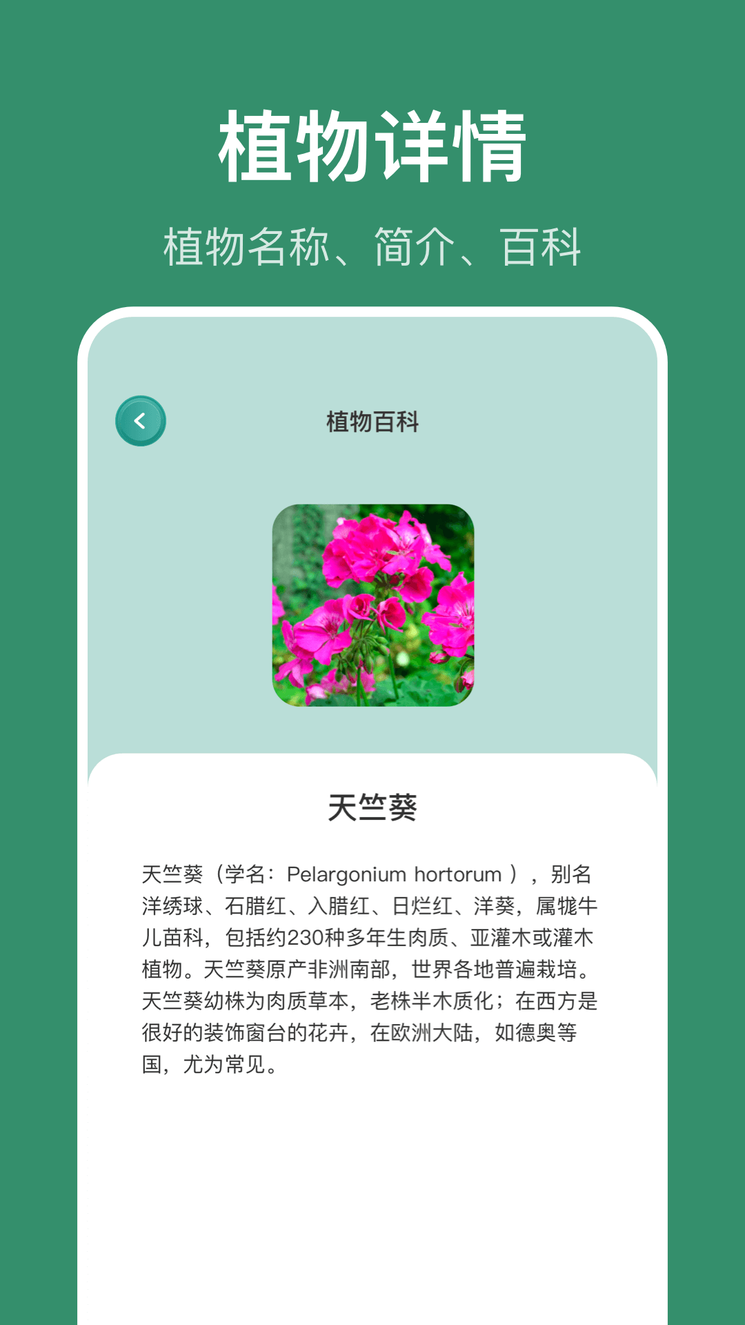 识花草截图3