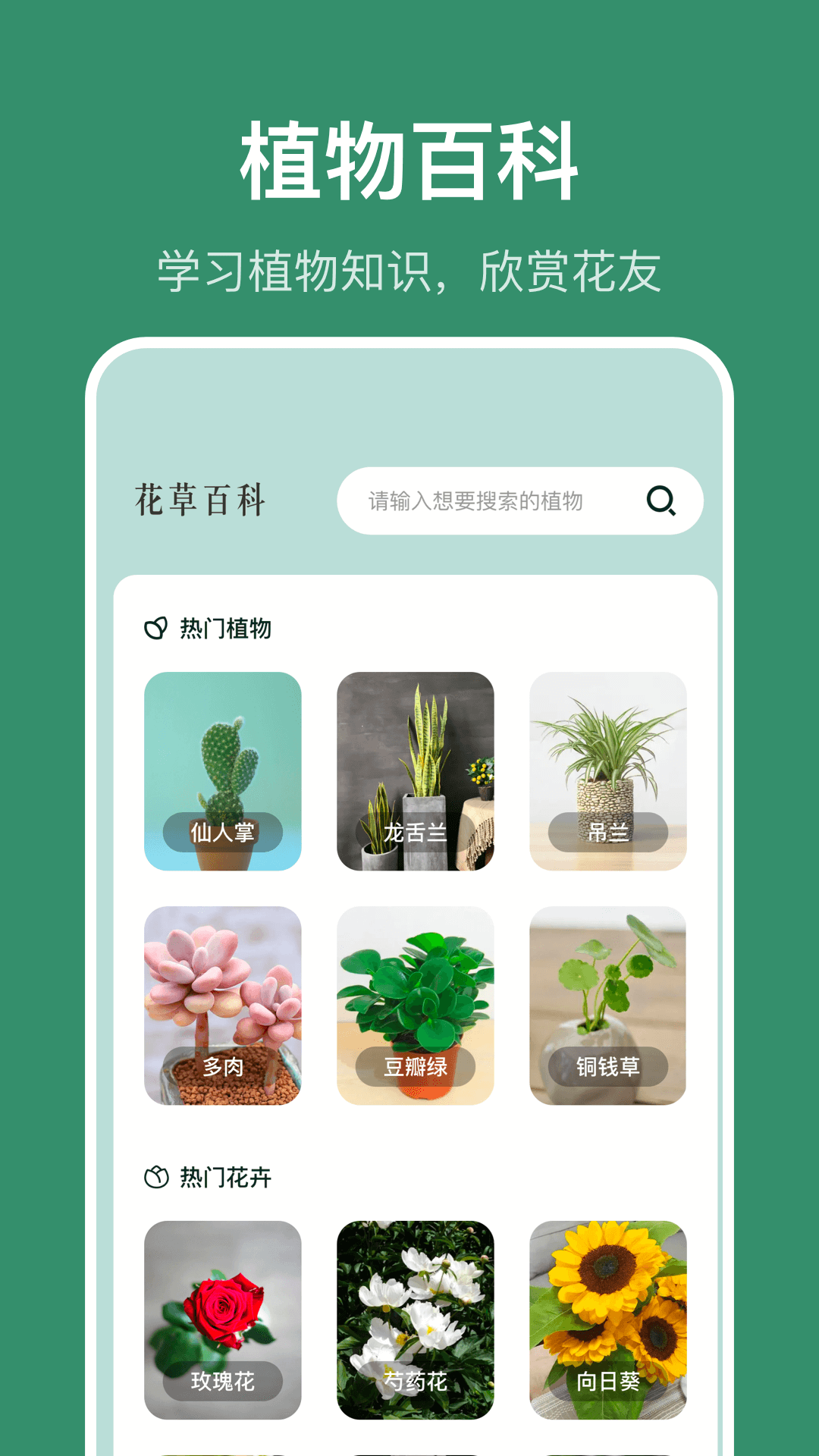 识花草截图4