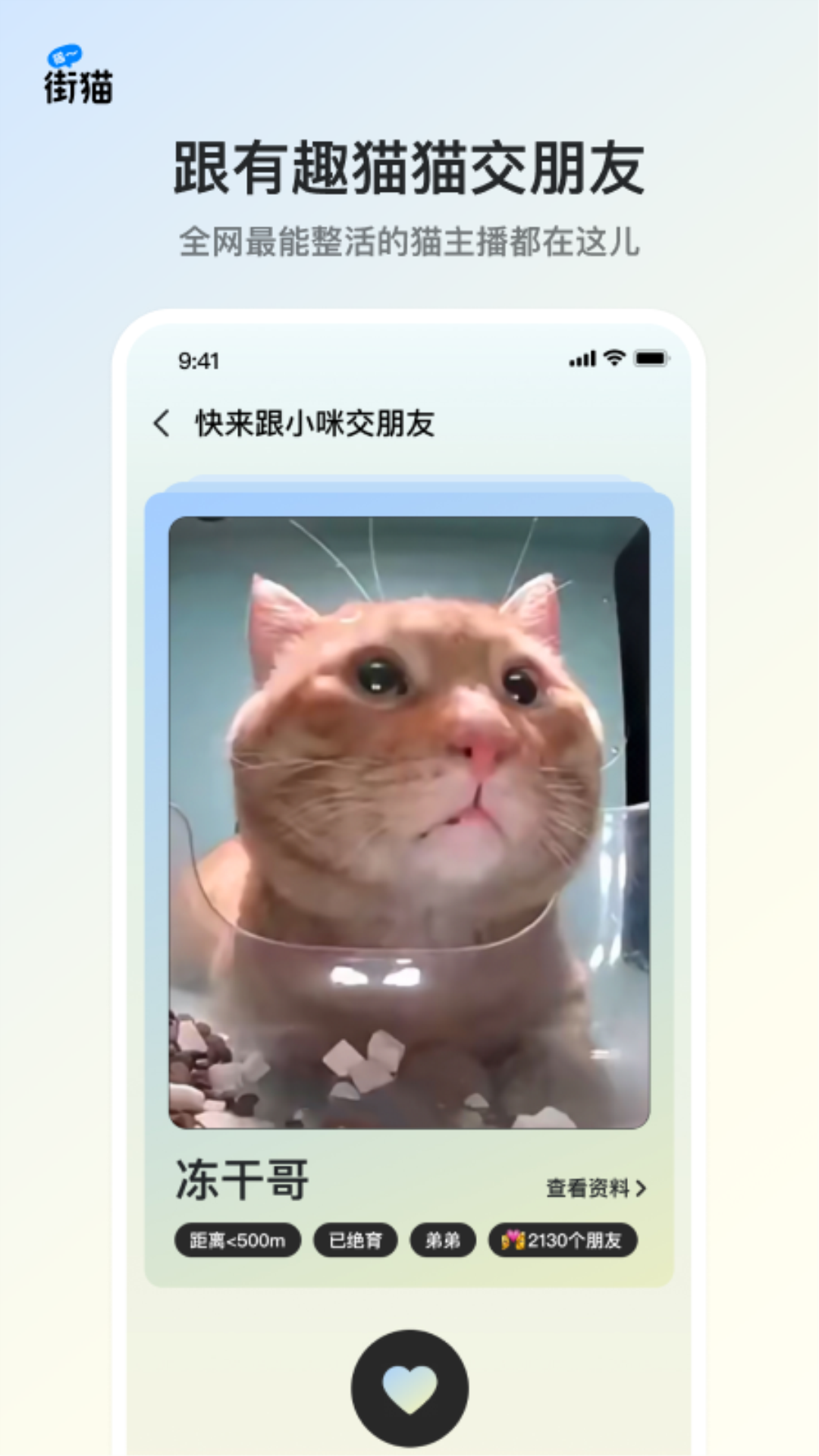 街猫v1.24.8截图4