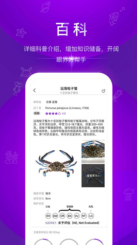 问鱼v1.1.22截图4