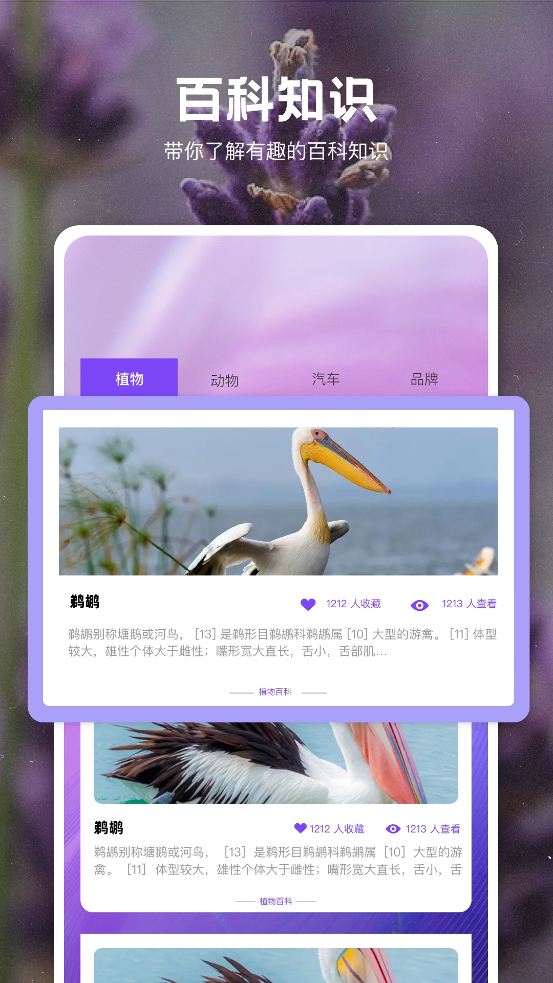 识物v1.1截图1