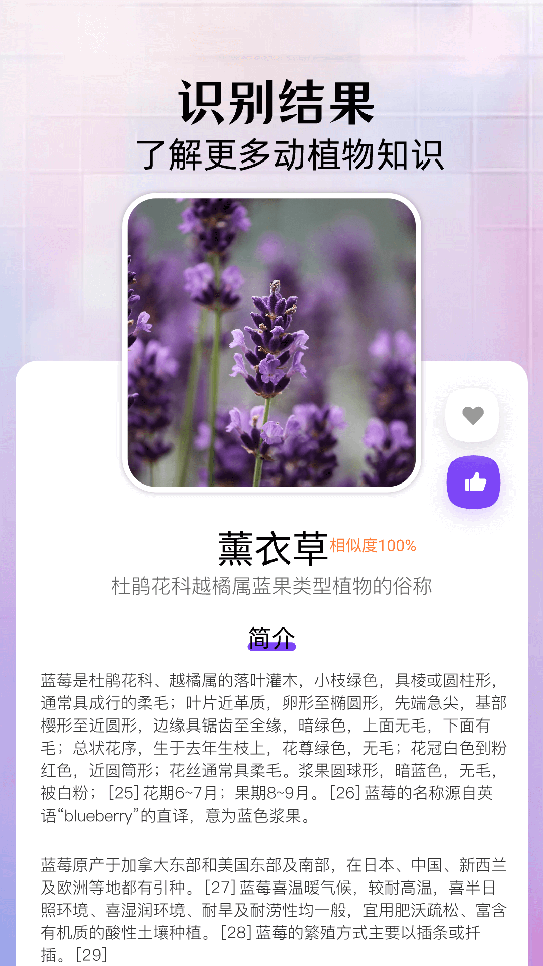 花间空间截图4