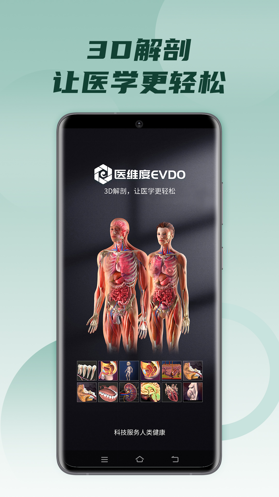 医维度解剖v3.3.3截图5