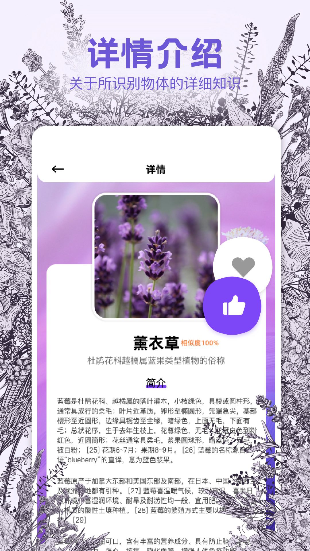 识物相机v1.2截图1