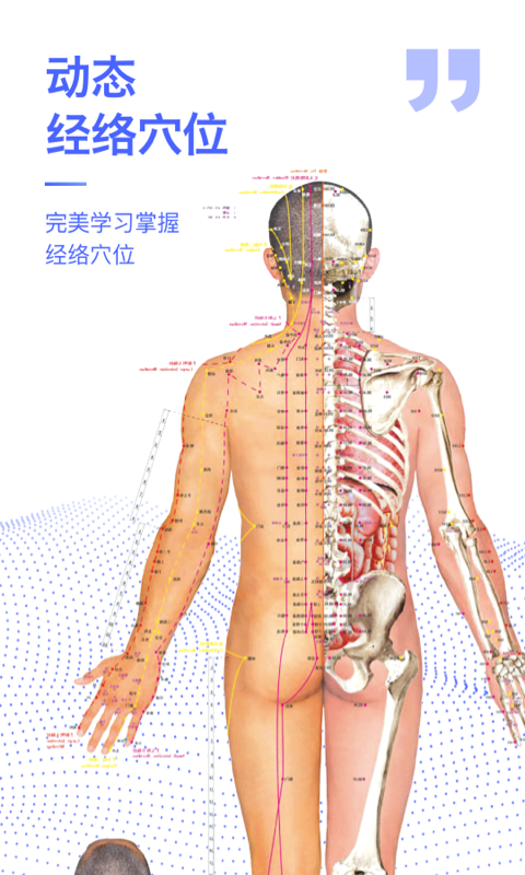 人体3D解剖图谱截图3