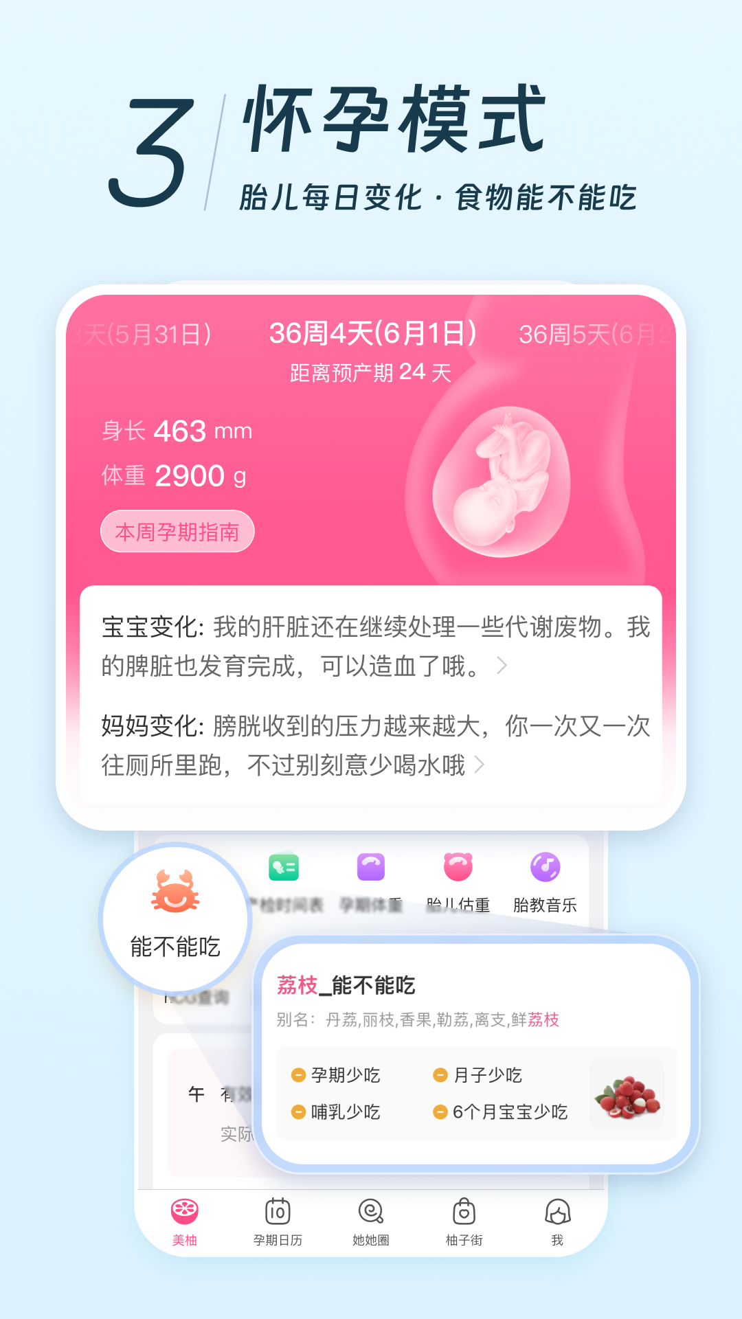 美柚v8.79.0.0截图1