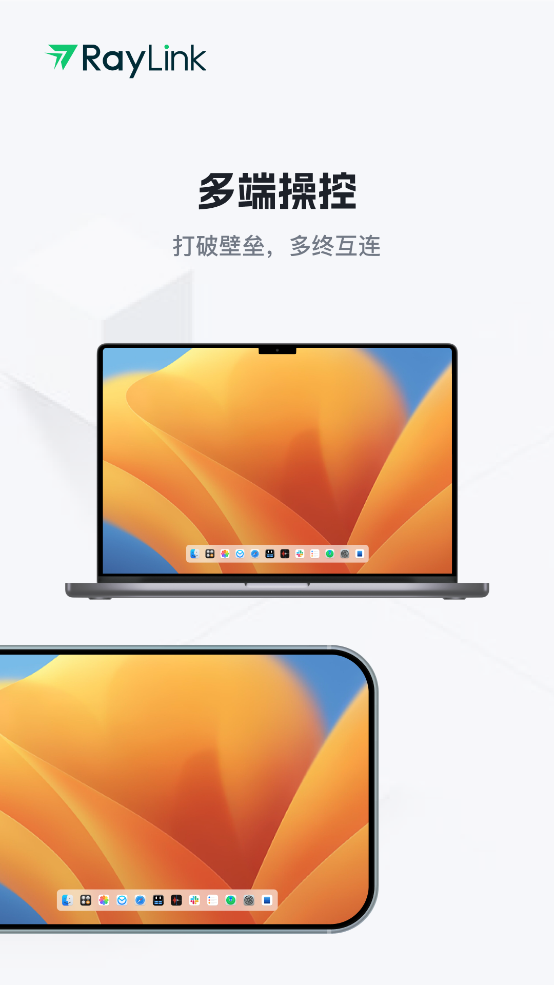 RayLink-远程控制v8.9.2截图2