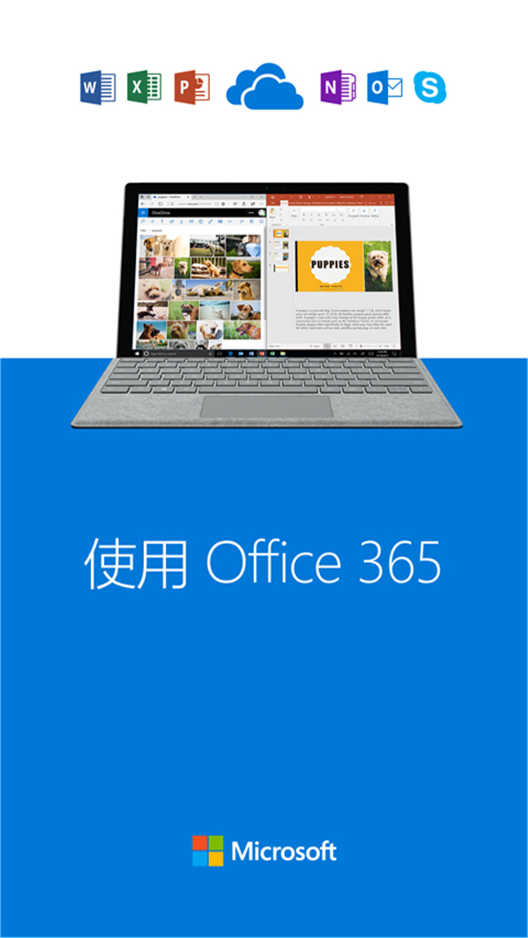 OneDrive截图5