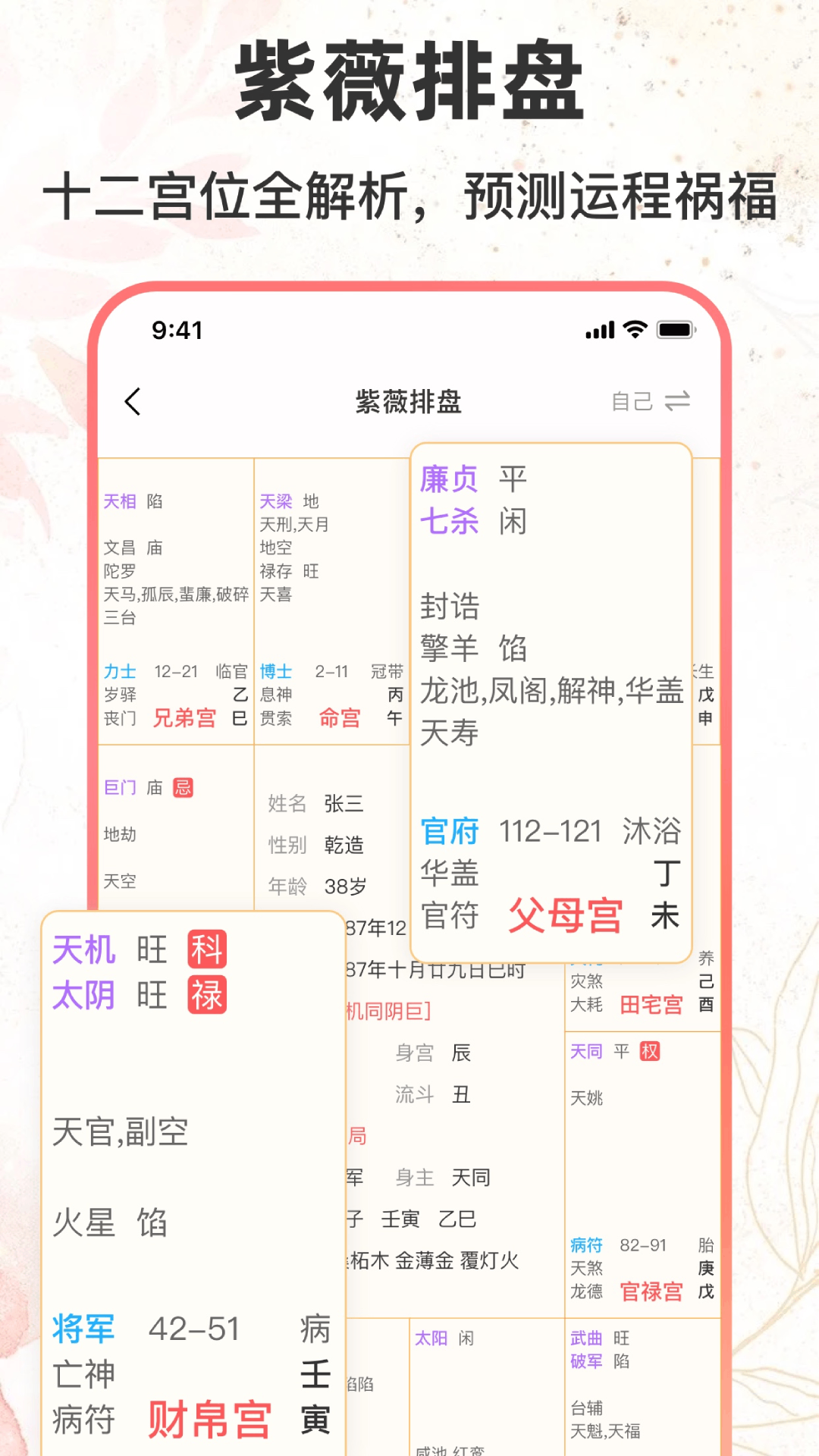 八字排盘助手v1.3.1截图3