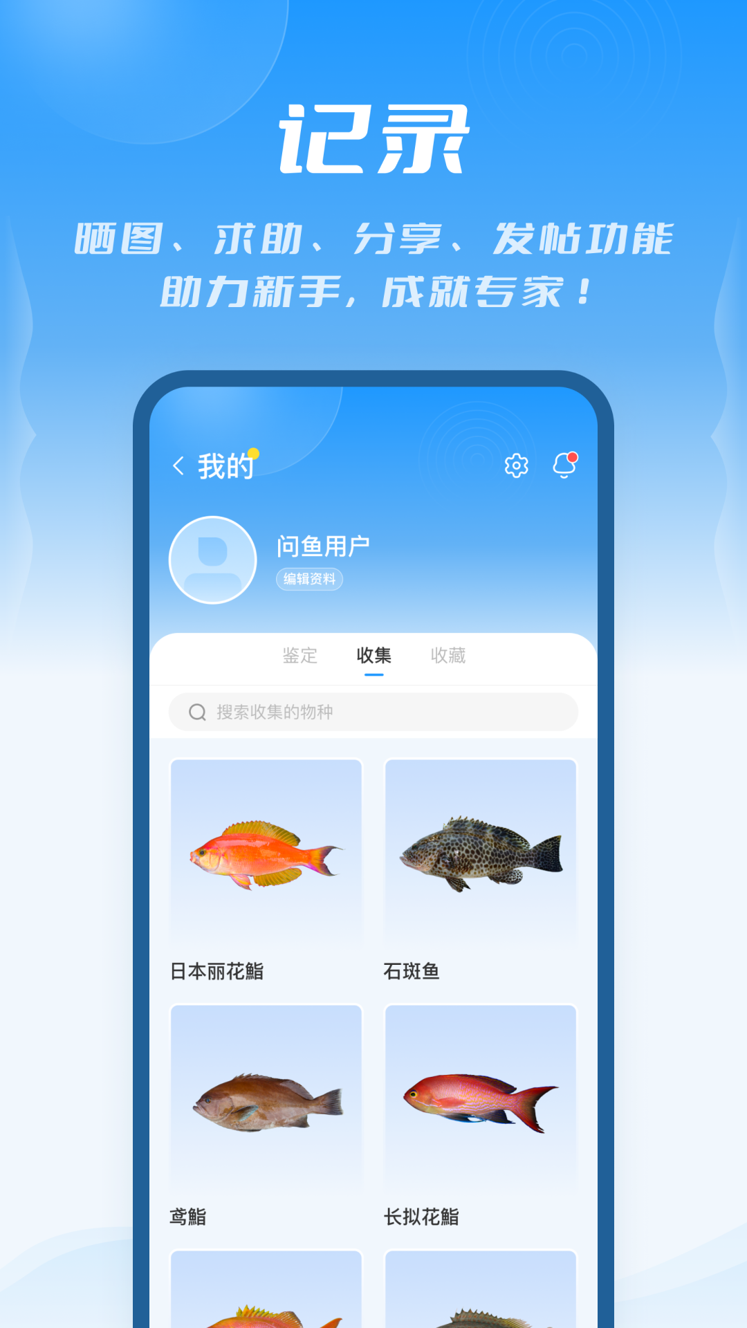 问鱼截图4