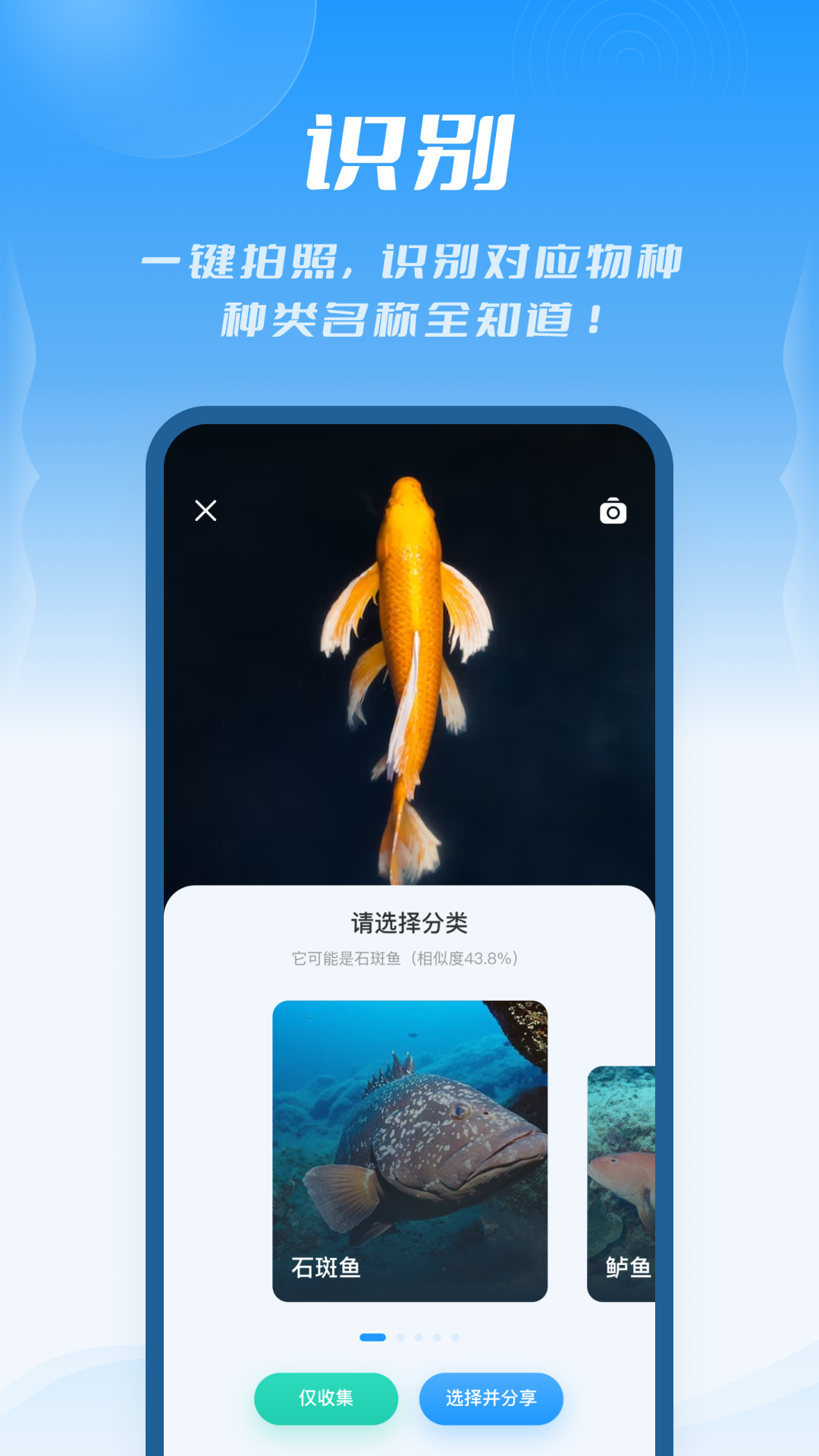 问鱼截图1