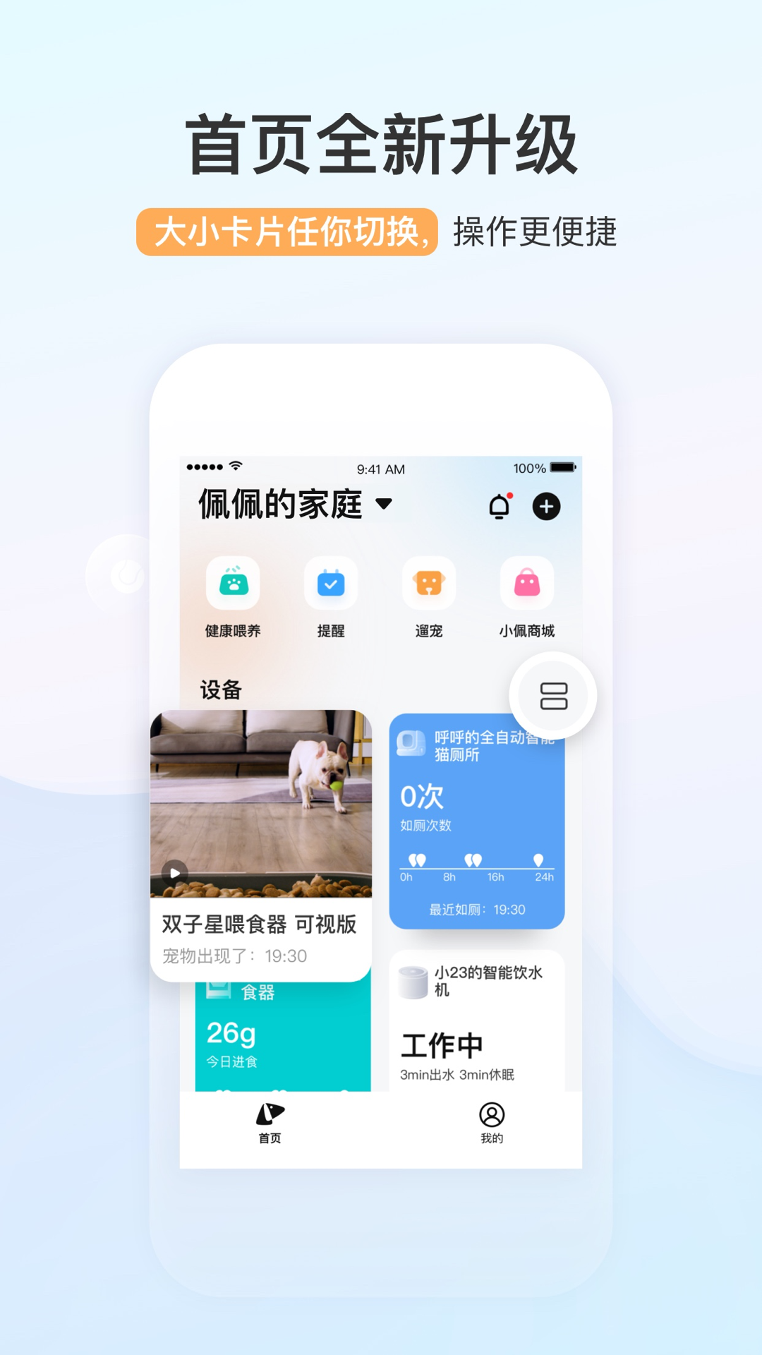 小佩宠物截图3