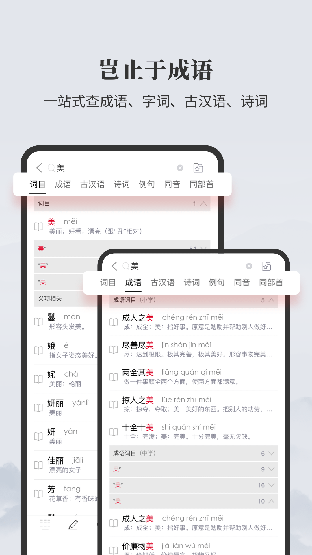 成语大词典v5.1.3截图1