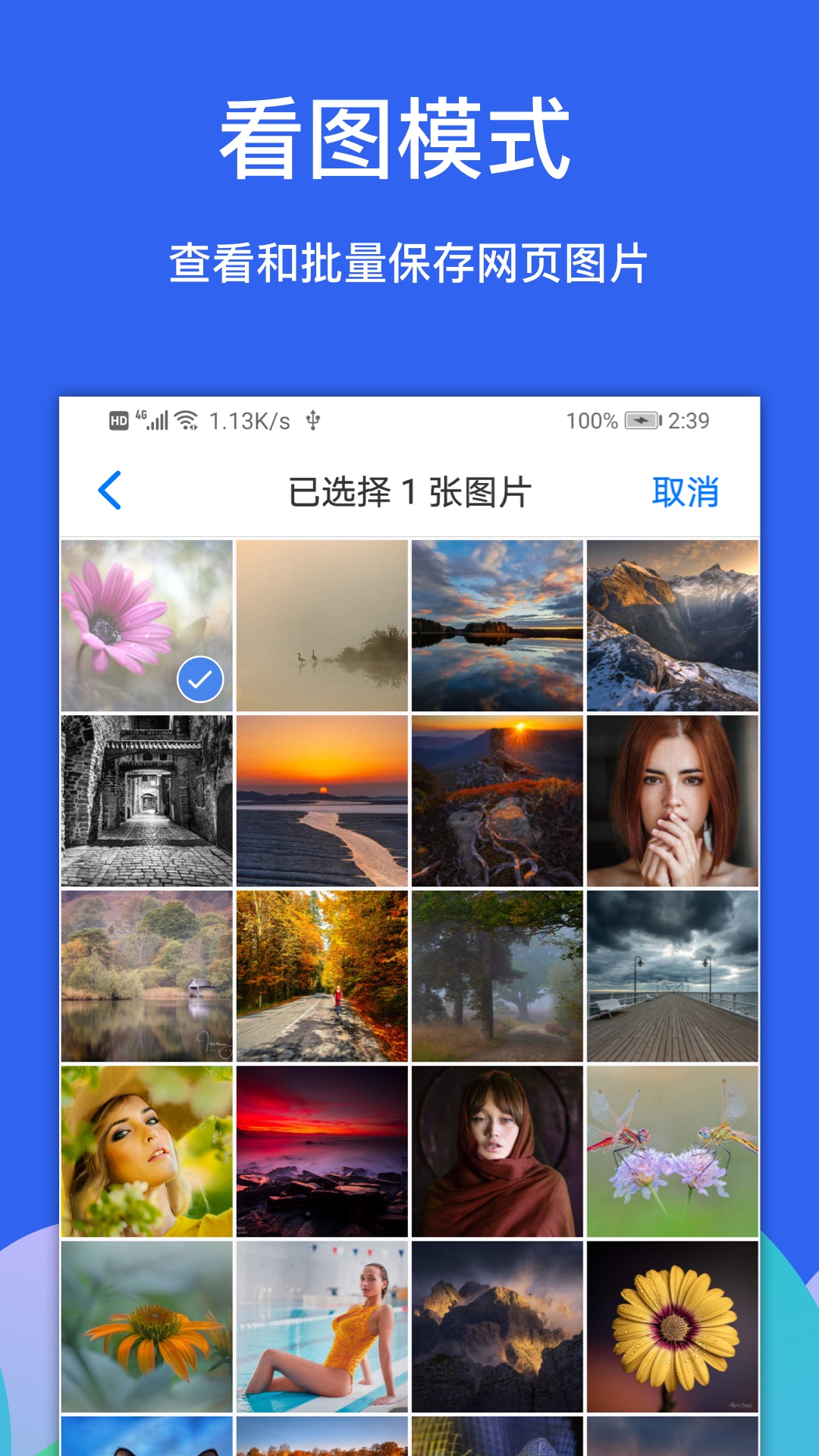 Alook浏览器截图4