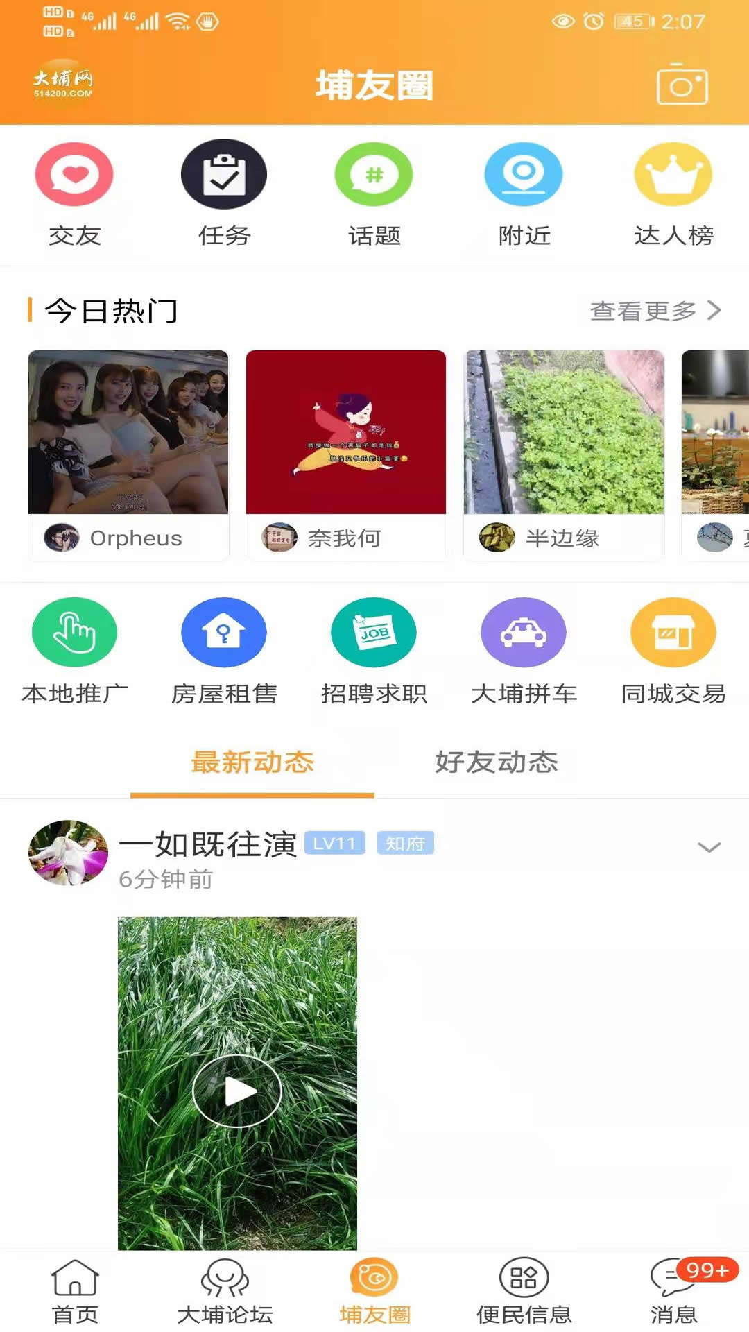 大埔网截图2