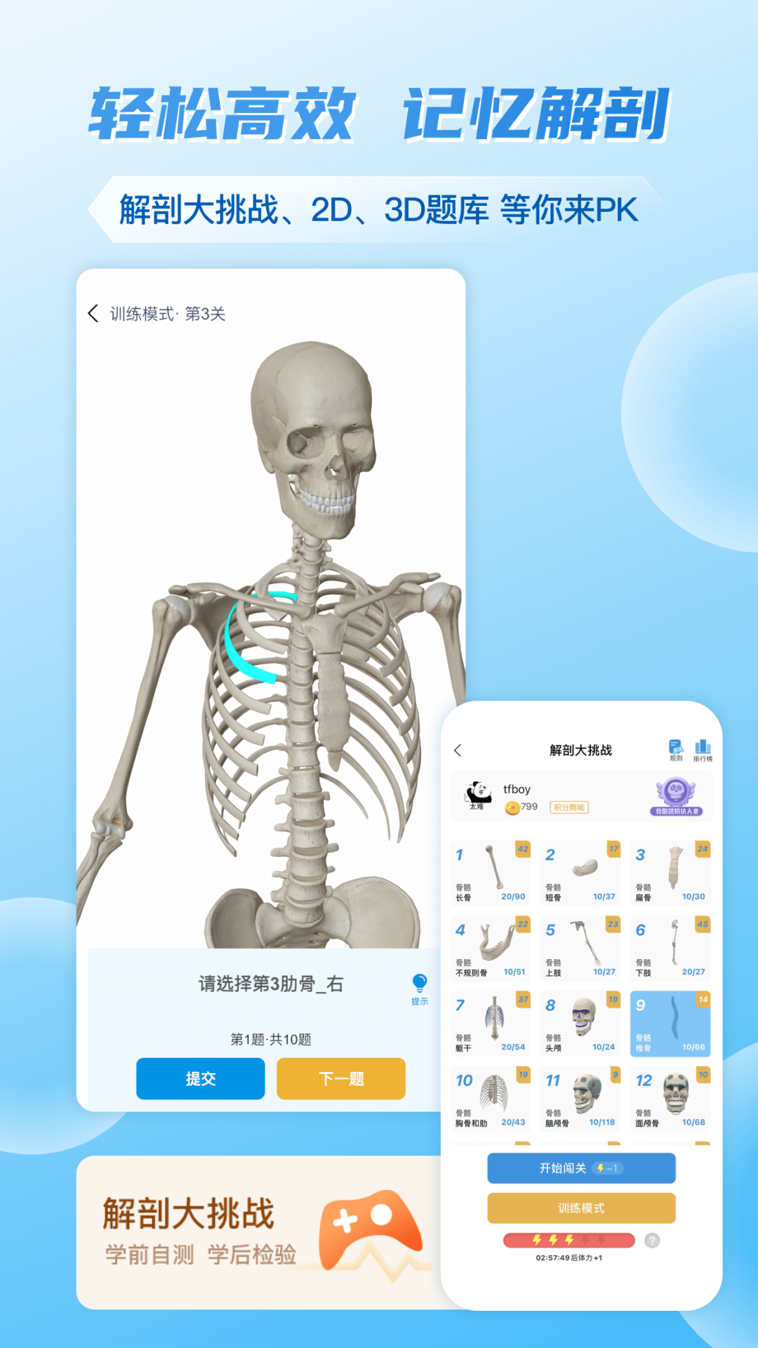 维萨里3D解剖v6.6.3截图1