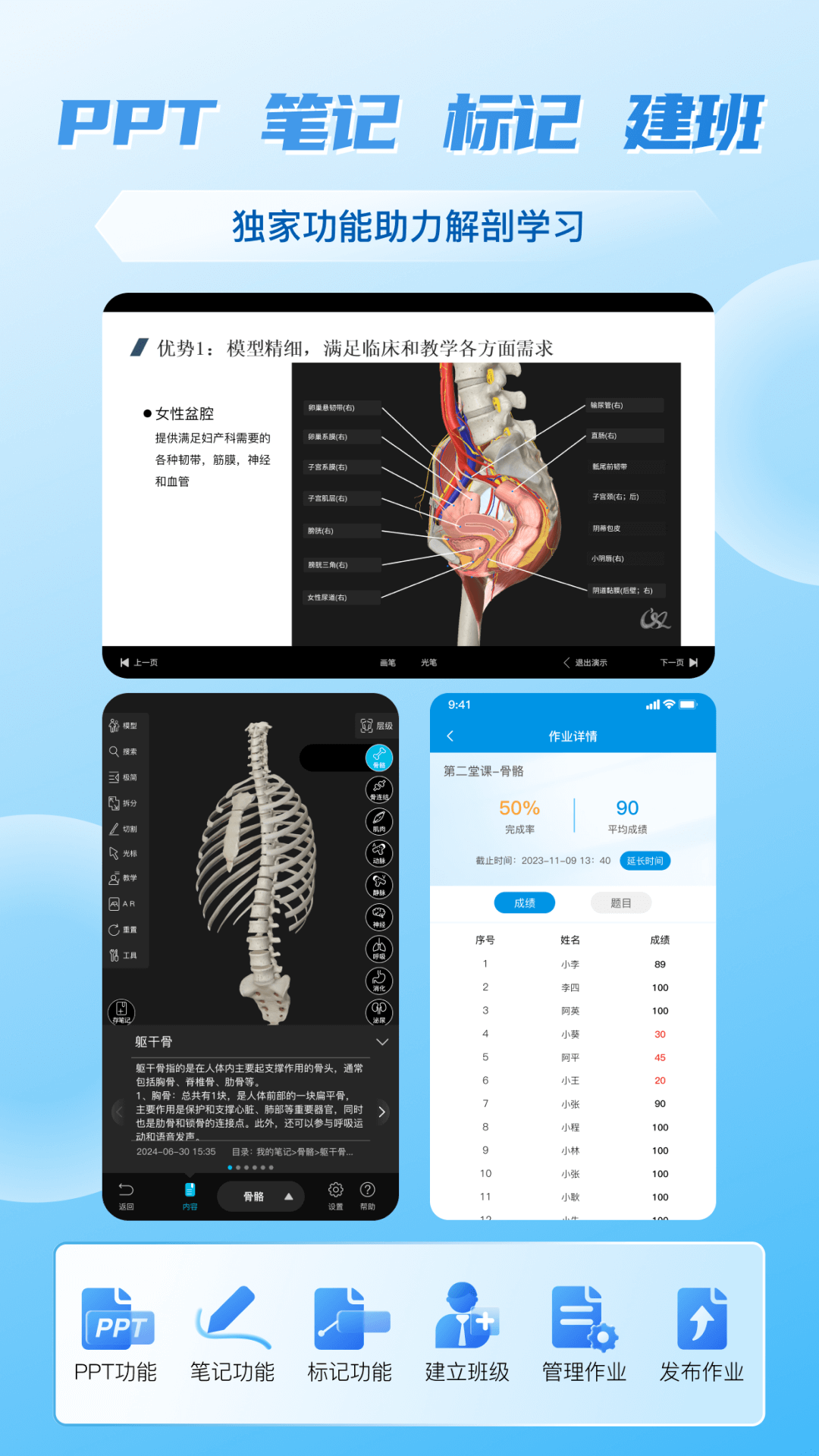 维萨里3D解剖v6.6.3截图5