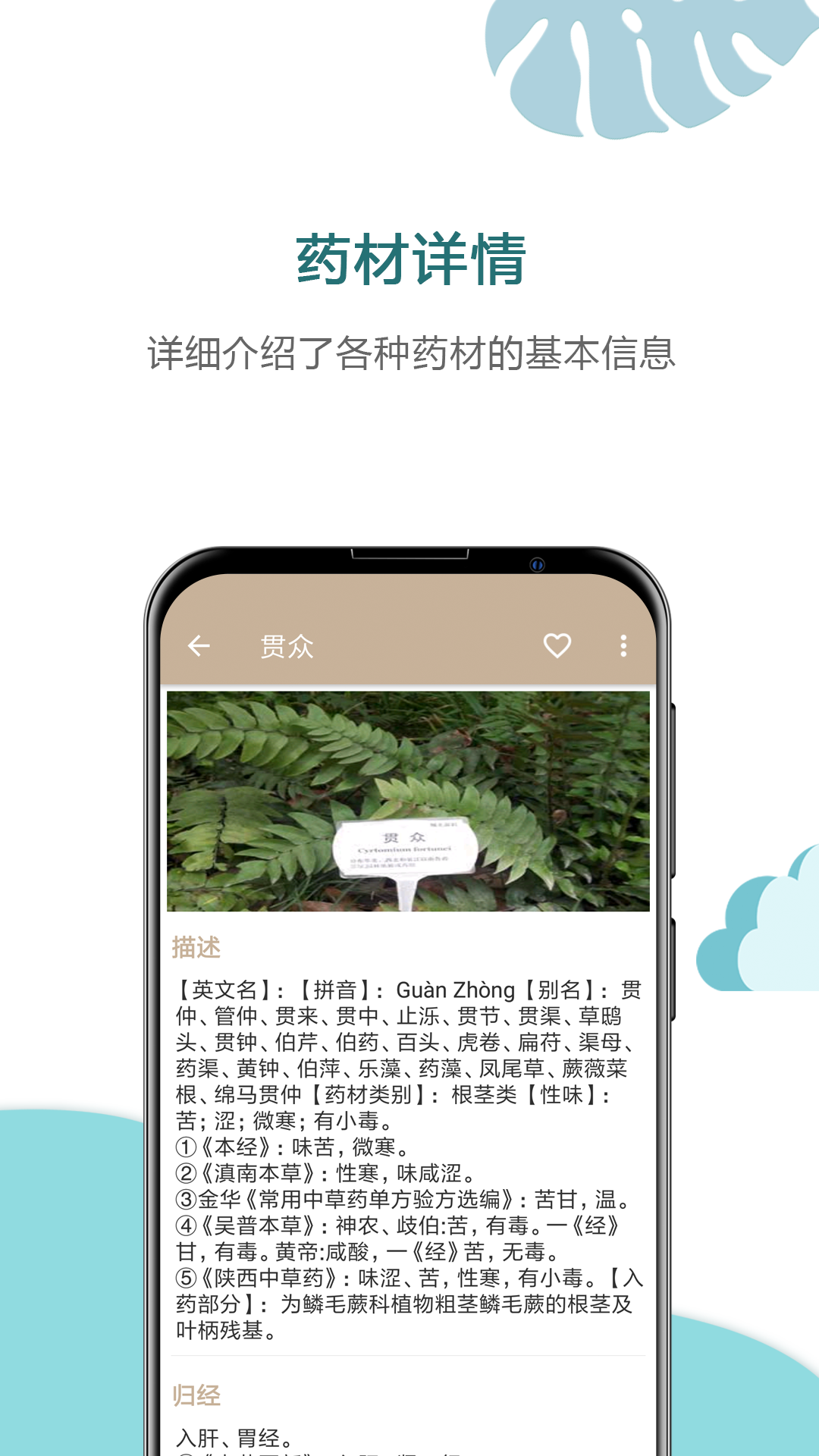 中草药宝典v2.6截图1