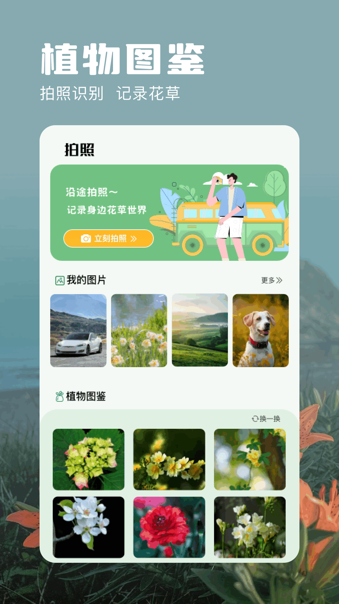 万能识别截图3