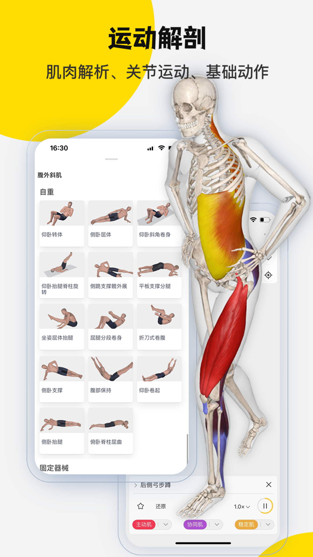 3DBody解剖v8.8.41截图5