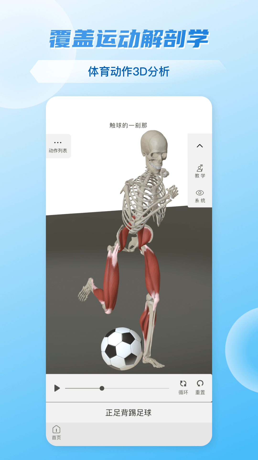 维萨里3D解剖v6.6.3截图2