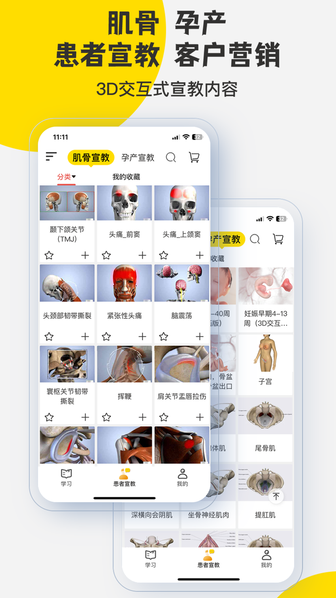 3DBody解剖v8.8.41截图4