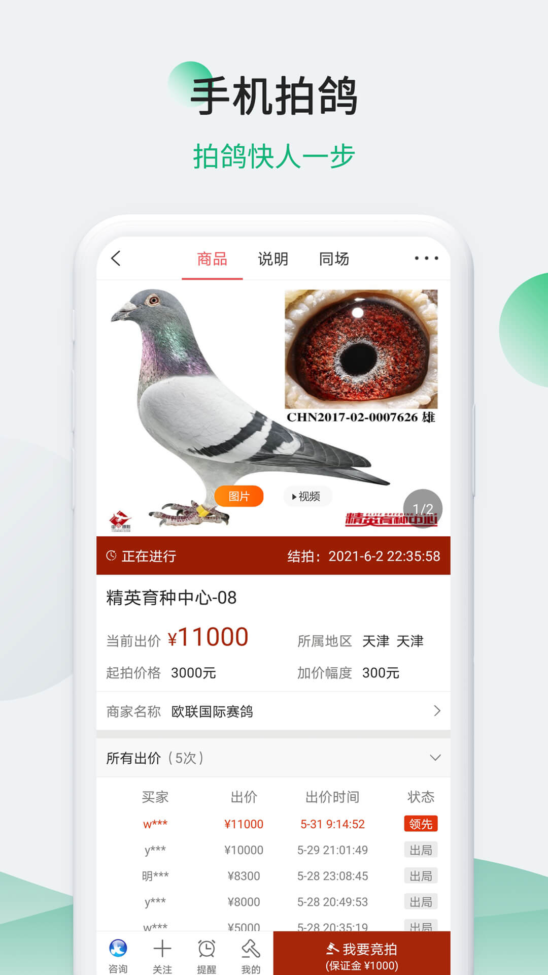 中国信鸽信息网v20241128截图1