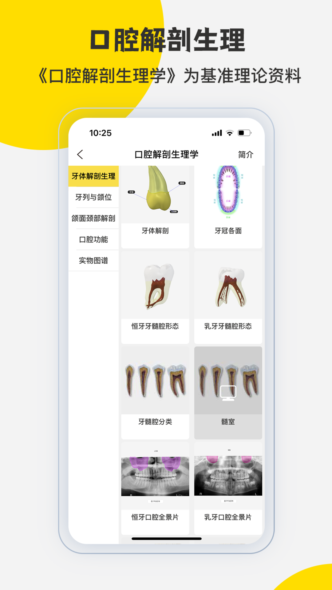 3DBody解剖v8.8.41截图1