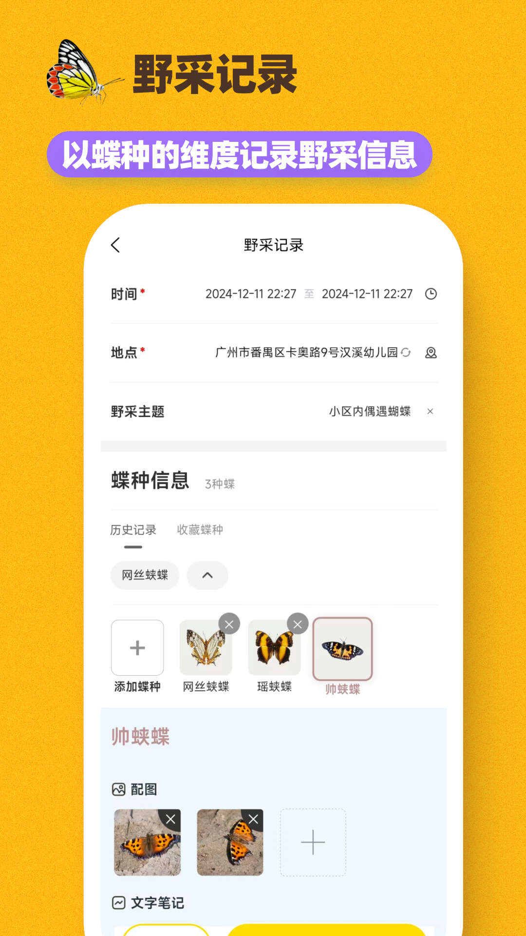 寻蝶记v1.0.8截图2